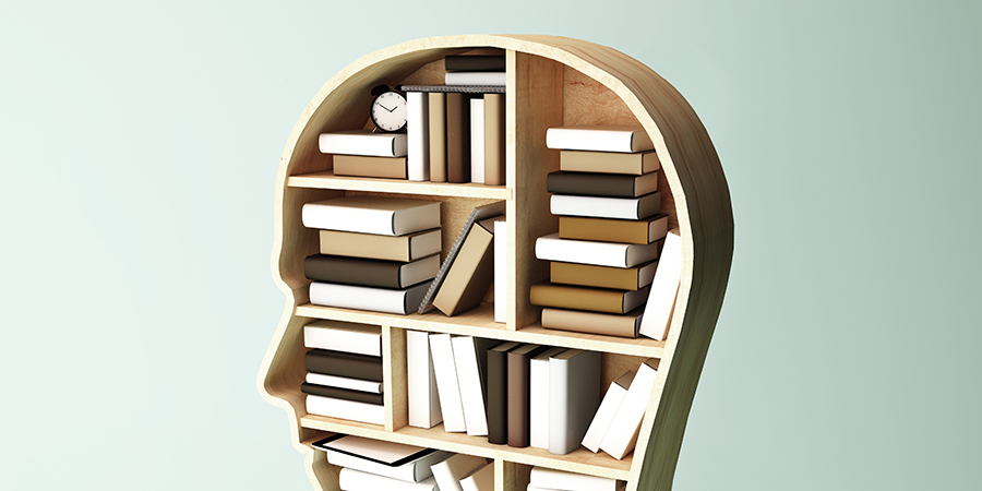 A bookshelf in the shape of a head