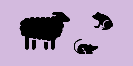 Sheep, mouse and frog icons