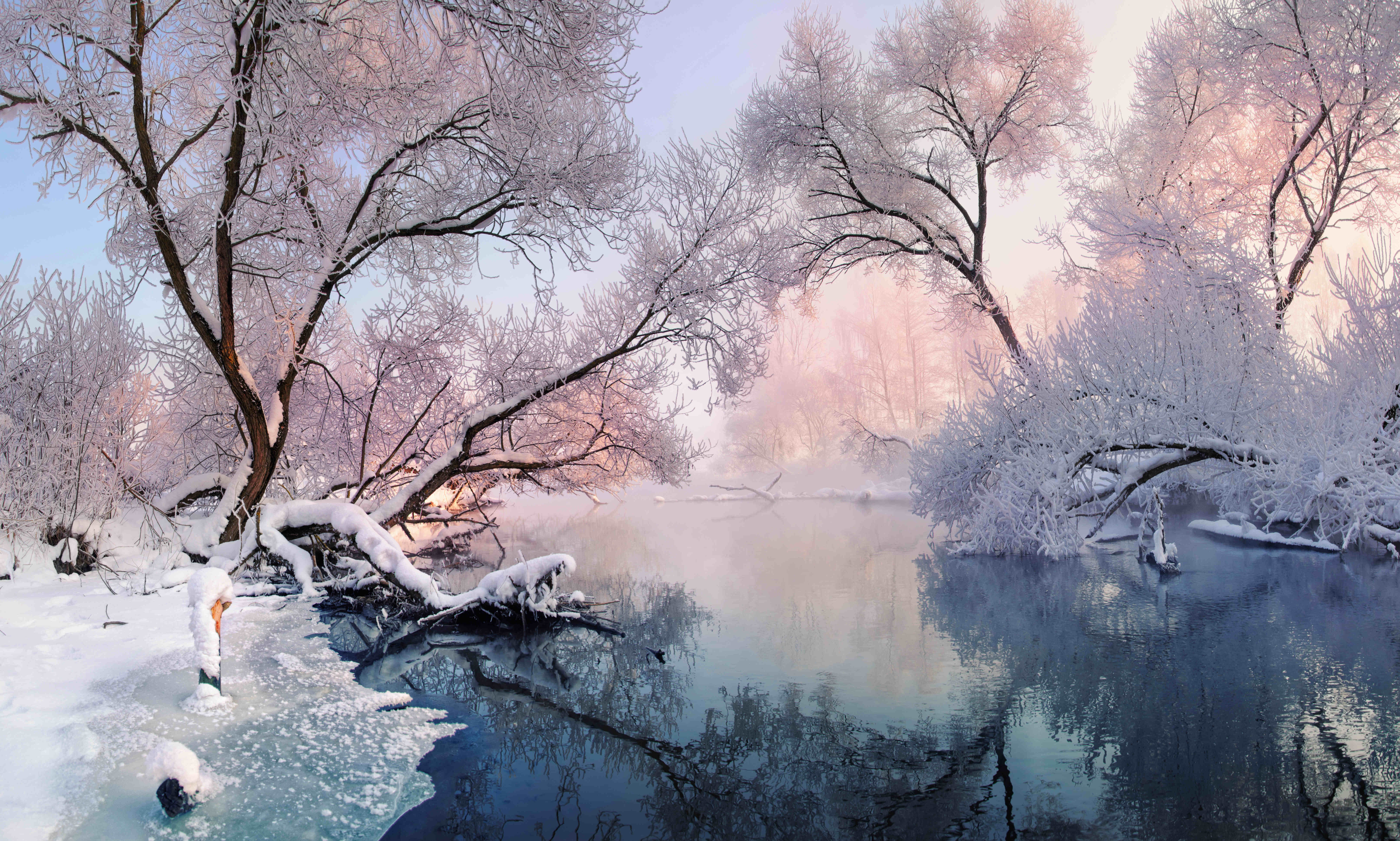 A winter landscape featuring snow-covered trees 