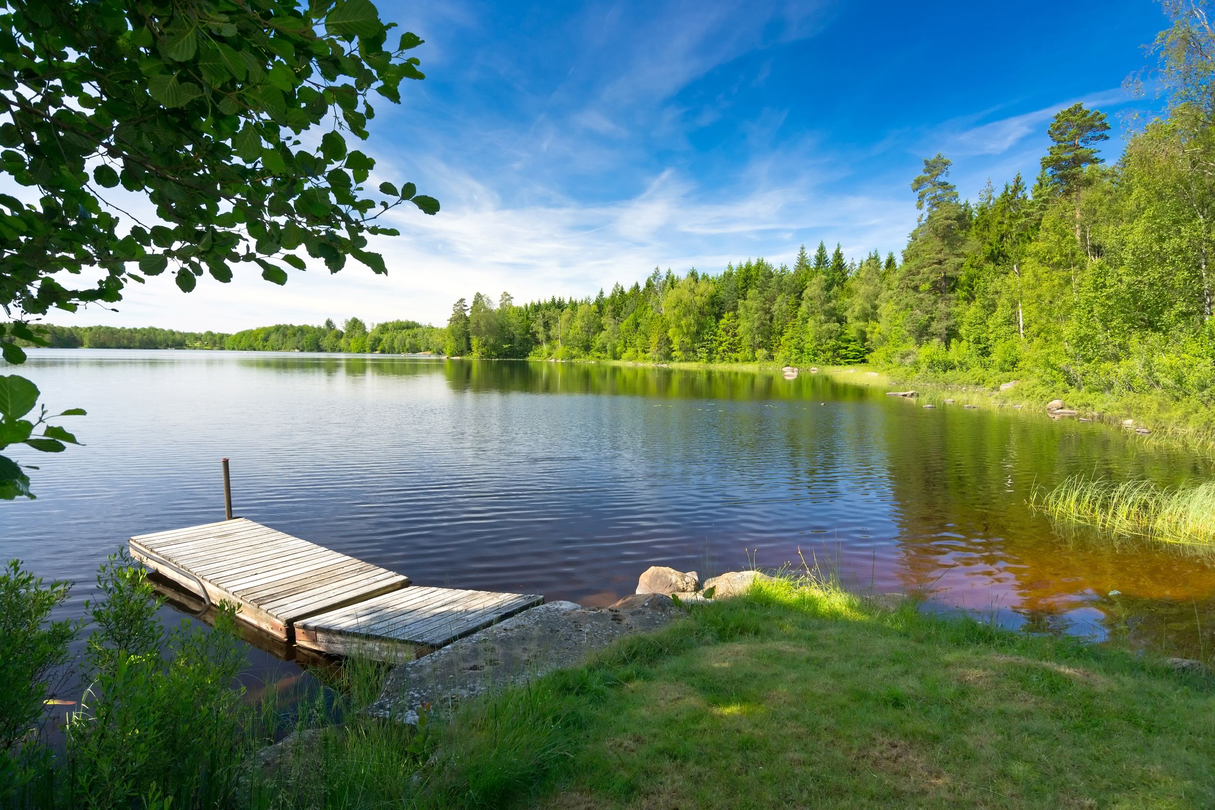 Summer Swedish lake in the morning light
