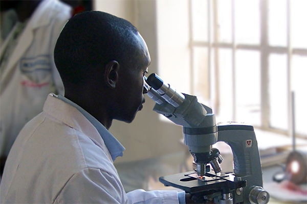 A student looks into a microscope