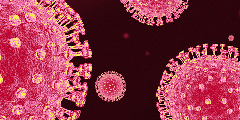 Coronavirus particles