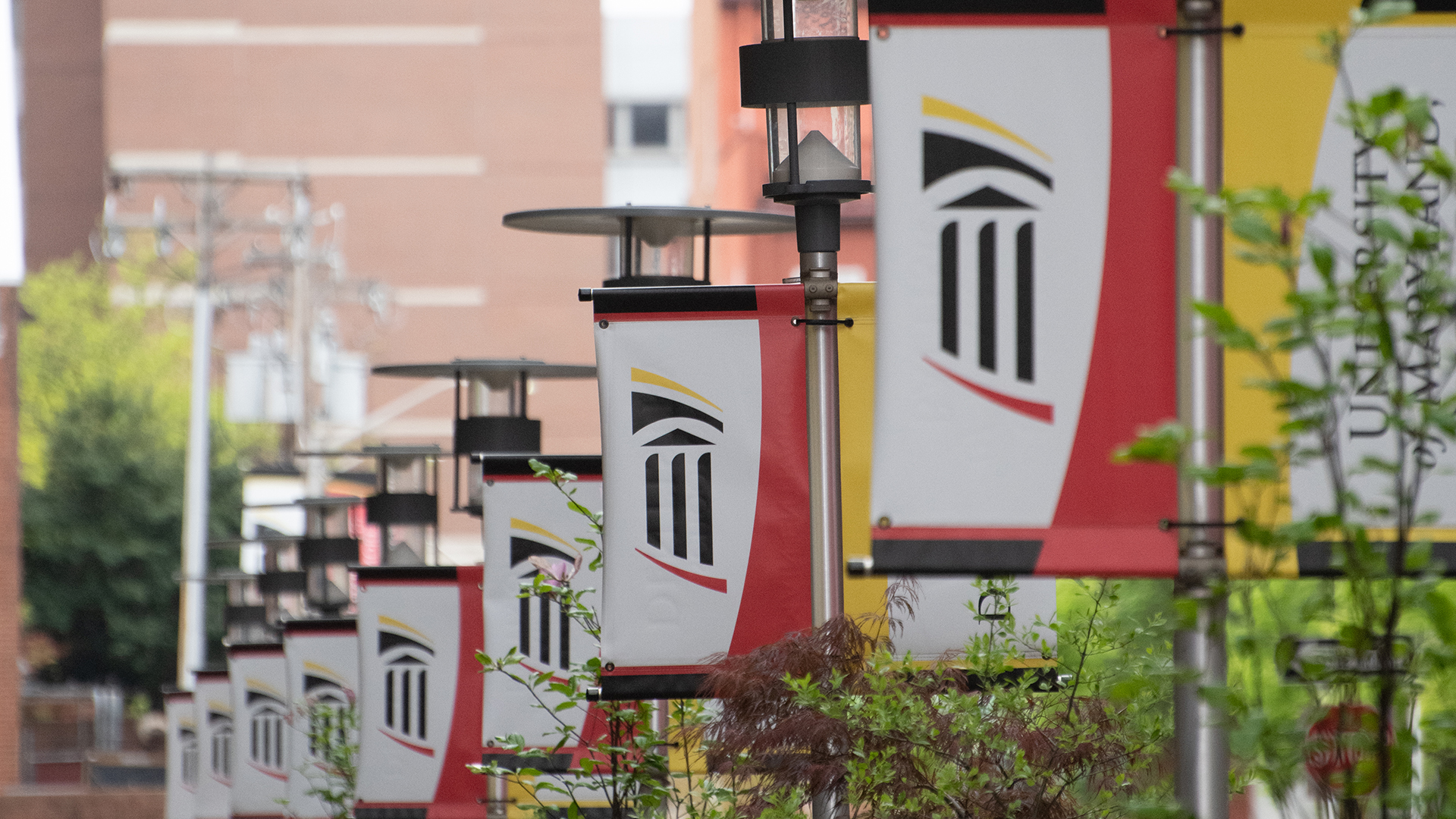 Banners displaying the University of Maryland, Baltimore logo