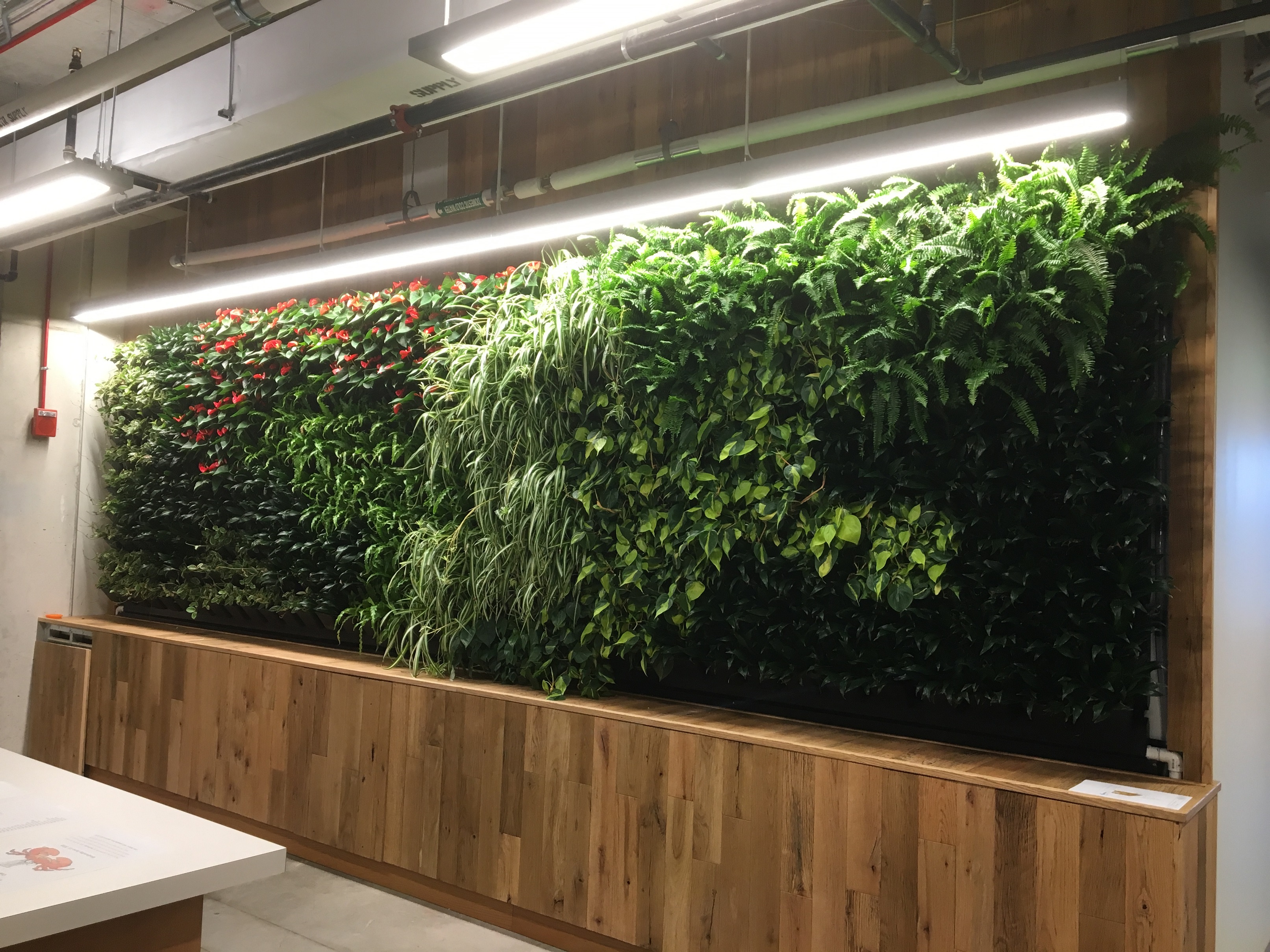 Green Wall