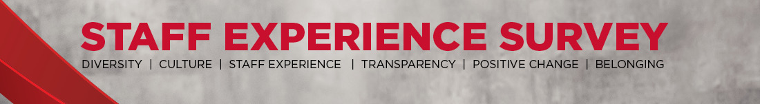 Staff Experience Survey | Diversity | Culture | Staff Experience | Transparency | Positive Changes | Belonging