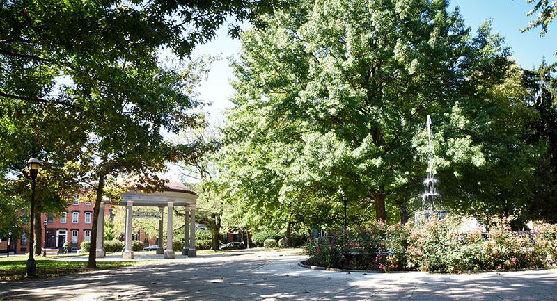 A park in Union Square