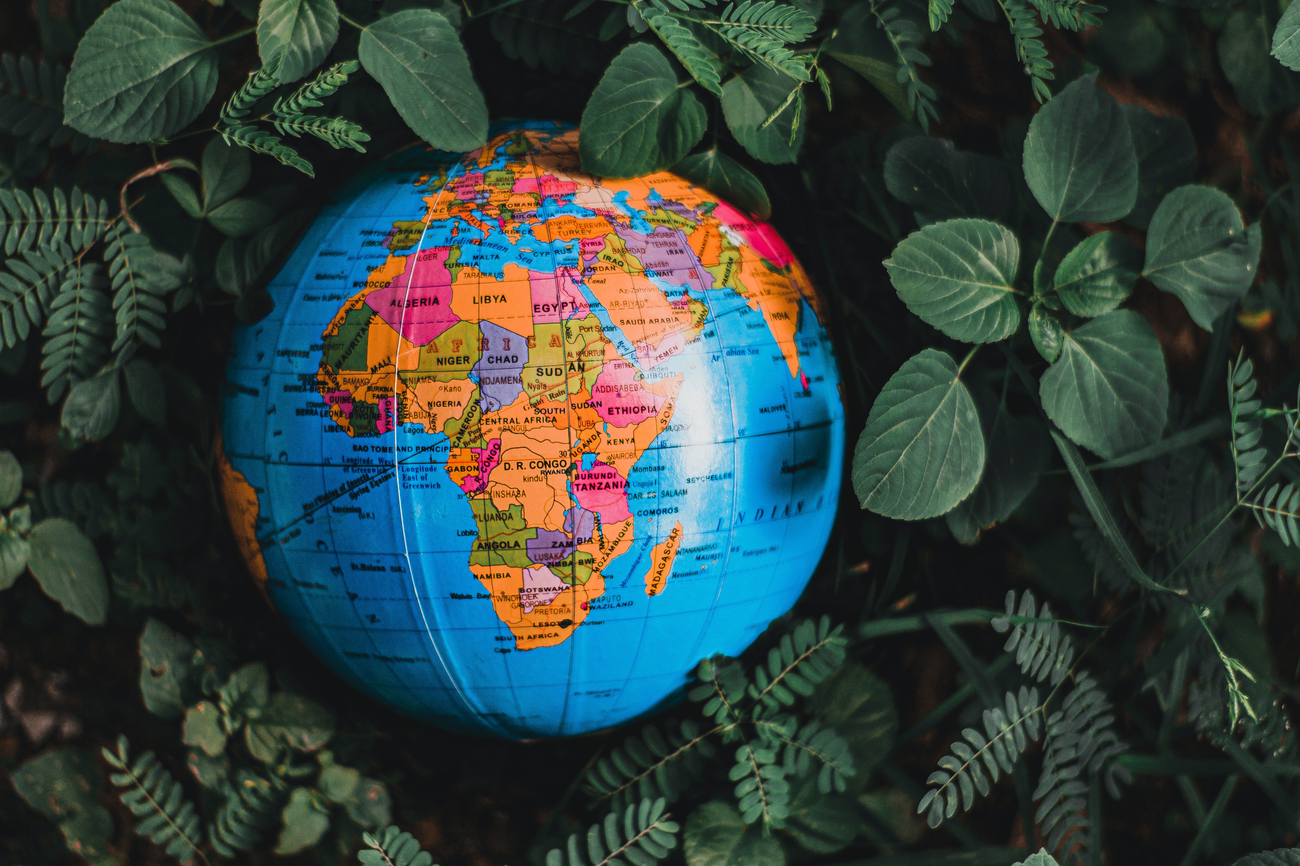 A globe sitting on a green foliage