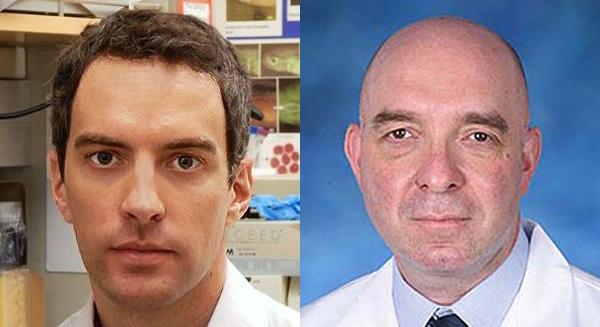 Tim Luetkens, MD, and Djordje Atanackovic, MD