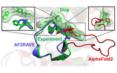 Graphic shows AI designed model predicting possibly useful protein structures.