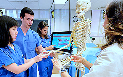 Medical students study in anatomy lab