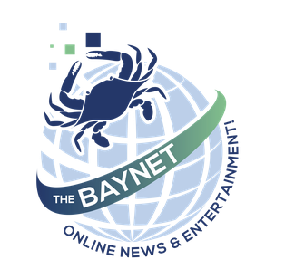 The Bay Net Logo