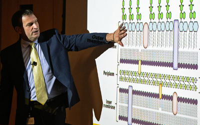 Robert K. Ernst has been awarded a five-year $9.4 million contract from the National Institutes of Health to continue work on novel vaccine adjuvants.