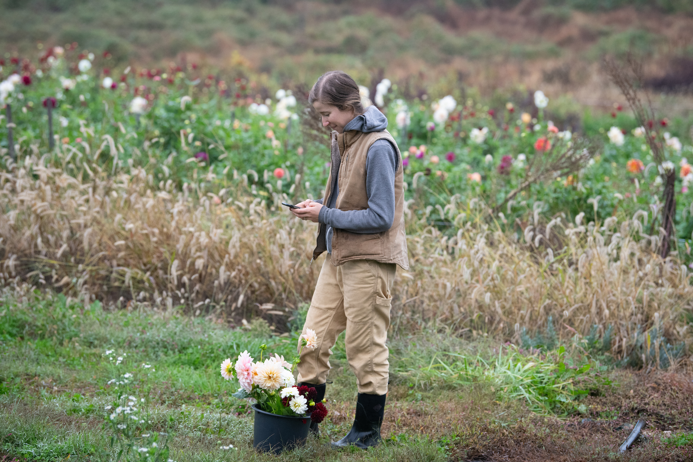 Laura Beth Resnick, owner of Butterbee Farm in Baltimore County, said ALEI's services have been helpful in managing the uncertainties of farming during a pandemic. 