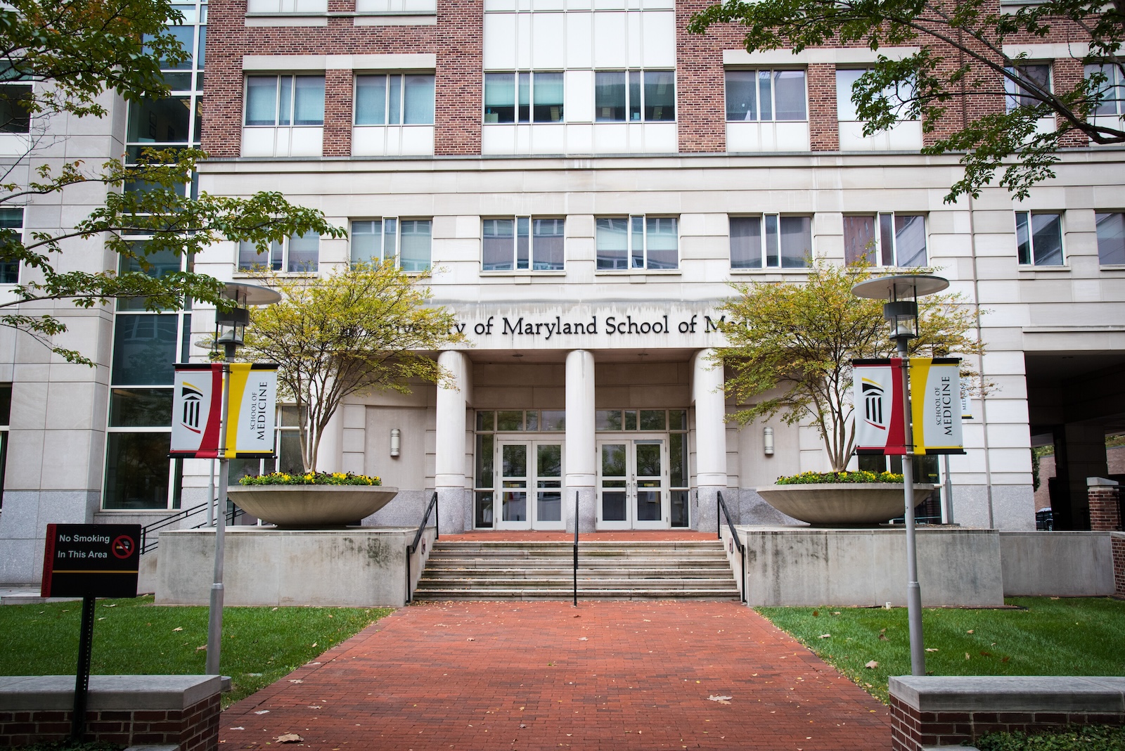 exterior of school of medicine building