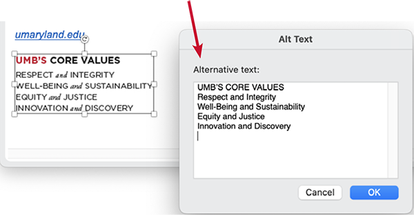 How to add Alt Text - Entering the text