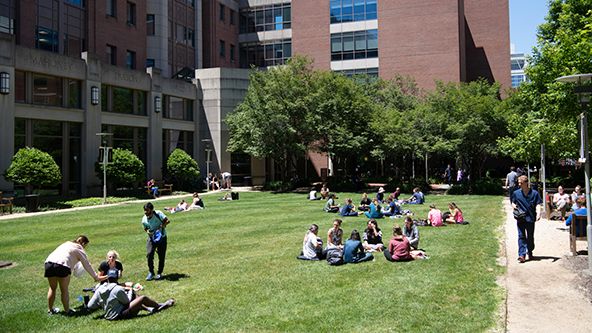 School of Nursing Courtyard