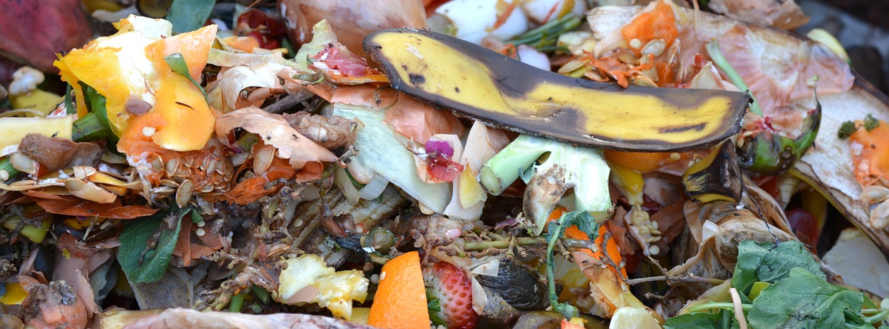 Miscellaneous food scraps being composted