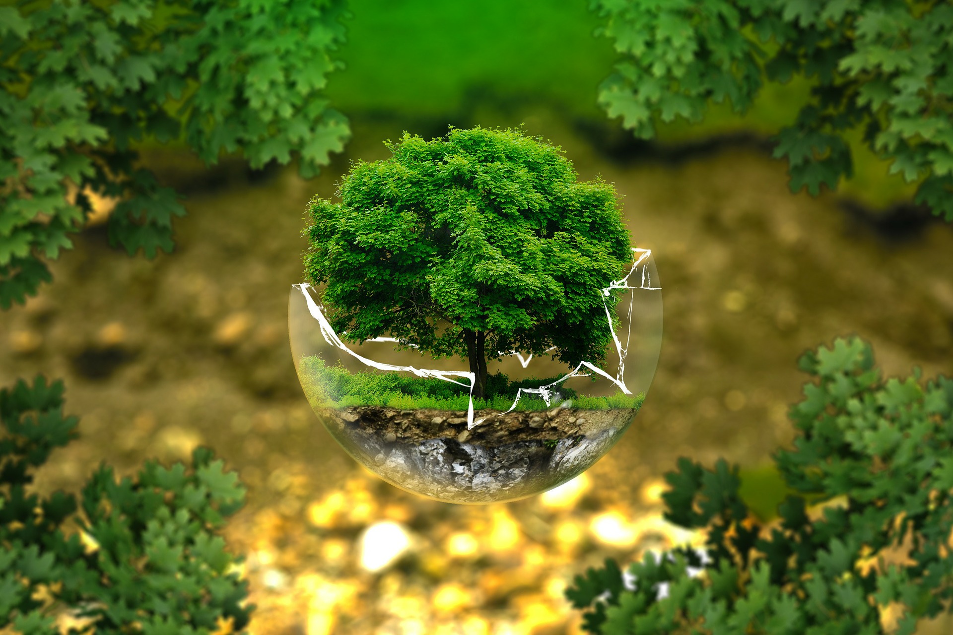 tree in glass bowl terrarium